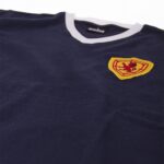 Schotland 1960's Retro Voetbalshirt 6